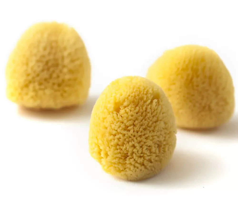 Naturschwamm, Zimocca - Image 3